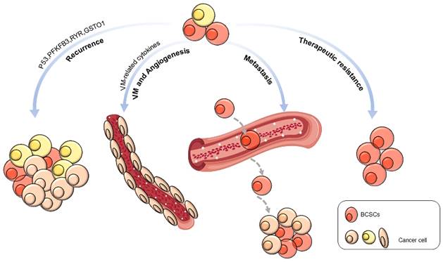 Int J Biol Sci Image