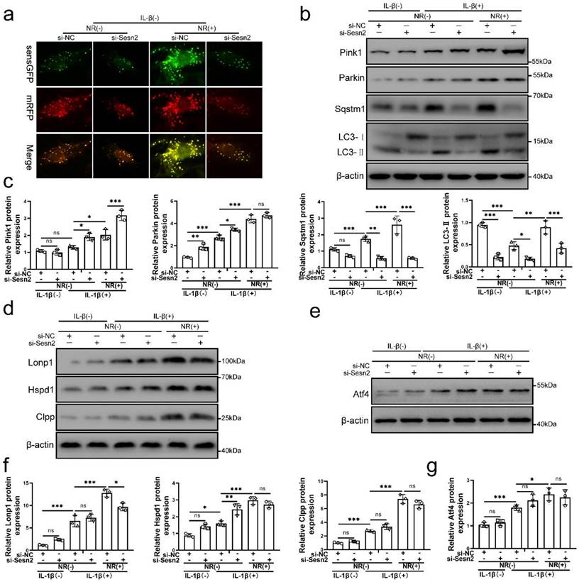 Int J Biol Sci Image