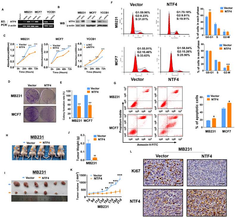 Int J Biol Sci Image