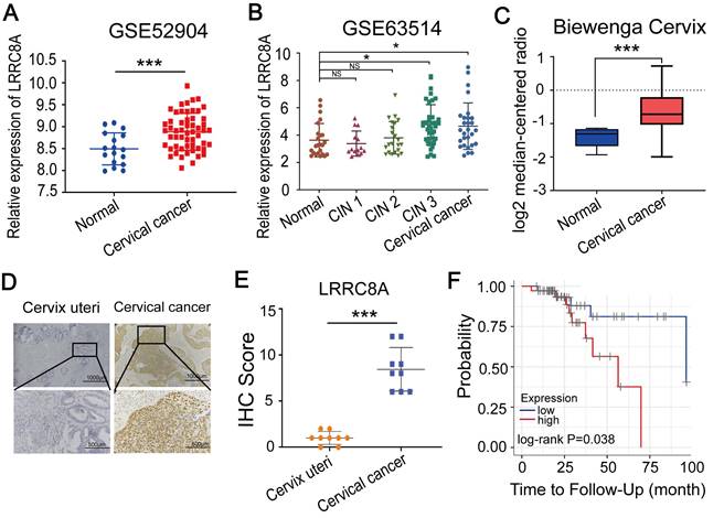 Int J Biol Sci Image