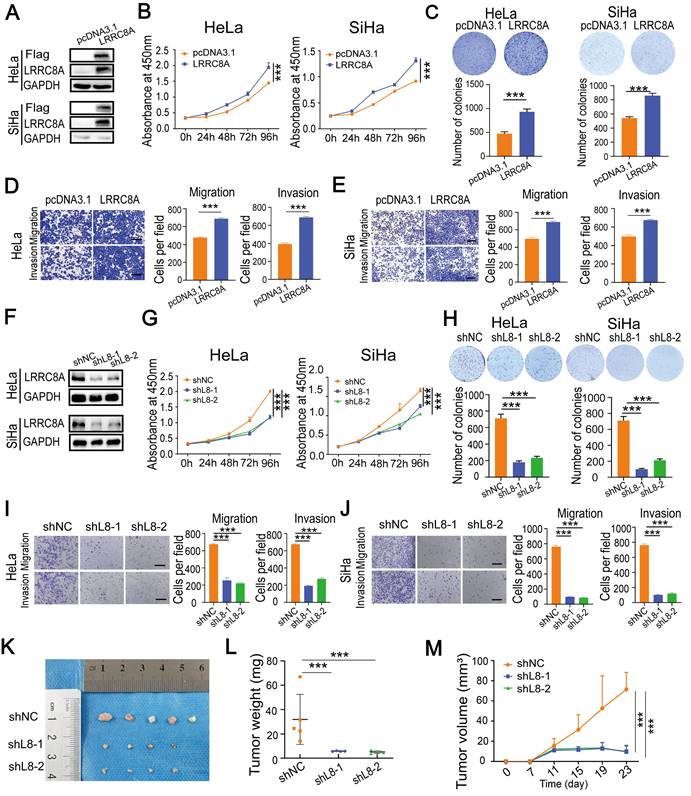 Int J Biol Sci Image