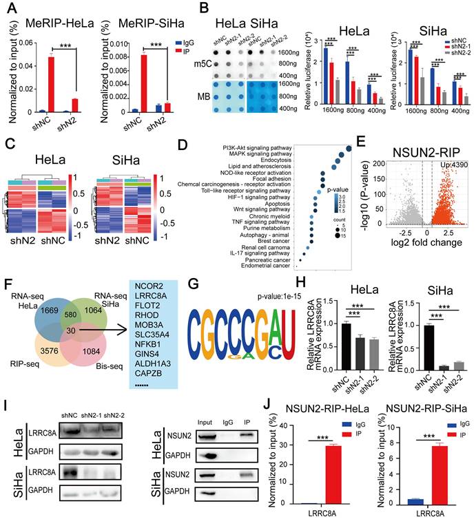 Int J Biol Sci Image