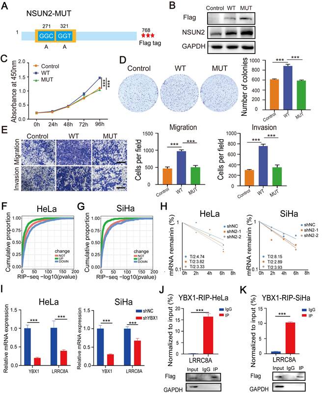 Int J Biol Sci Image