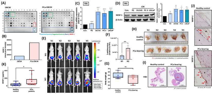 Int J Biol Sci Image