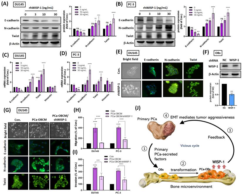 Int J Biol Sci Image