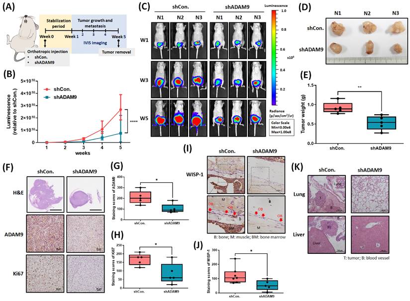 Int J Biol Sci Image