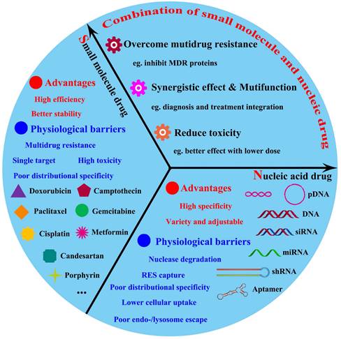 Int J Biol Sci Image