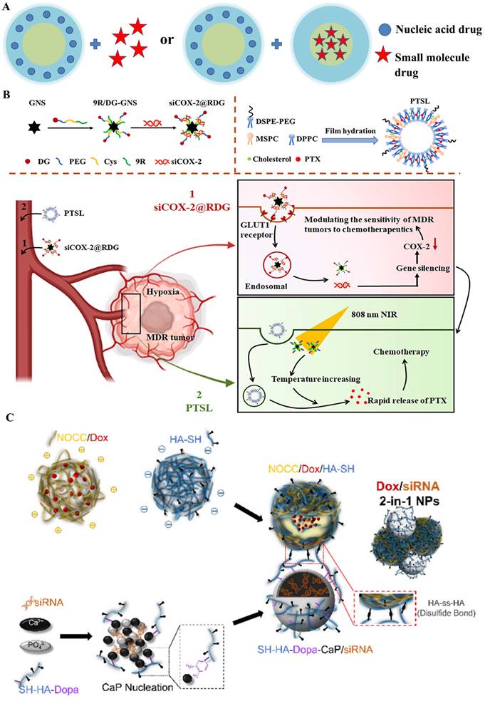 Int J Biol Sci Image