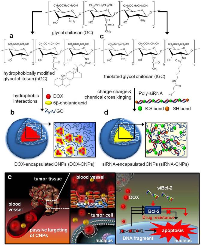 Int J Biol Sci Image