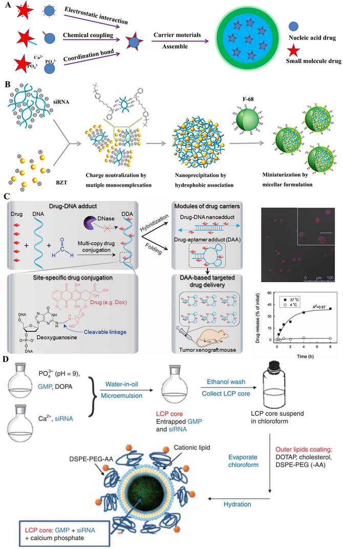 Int J Biol Sci Image