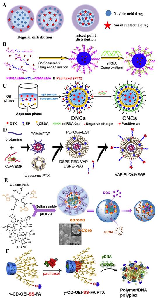 Int J Biol Sci Image