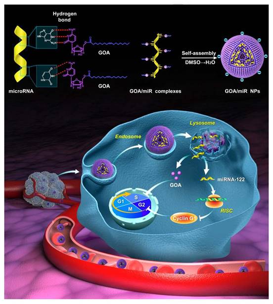 Int J Biol Sci Image