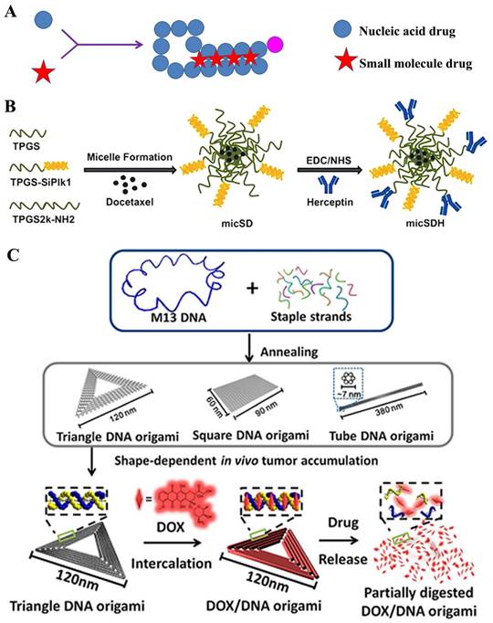 Int J Biol Sci Image