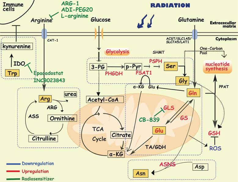 Int J Biol Sci Image