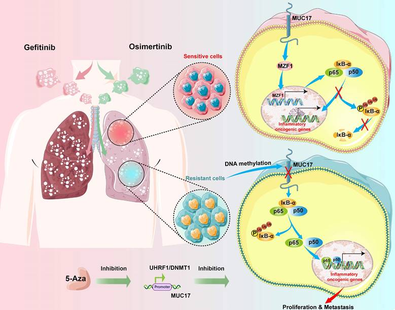 Int J Biol Sci Image