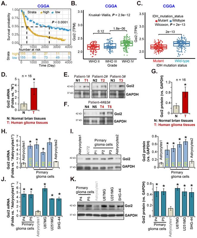 Int J Biol Sci Image