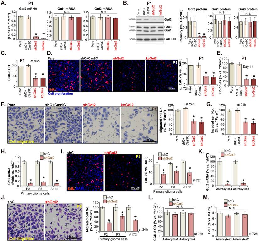 Int J Biol Sci Image