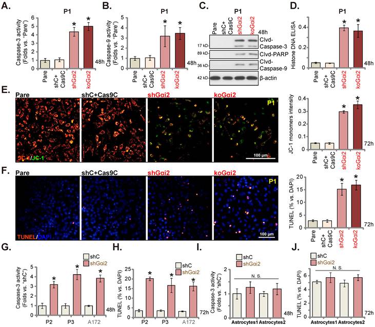 Int J Biol Sci Image