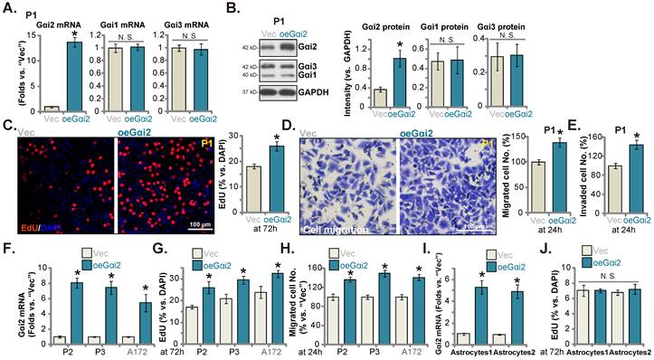 Int J Biol Sci Image