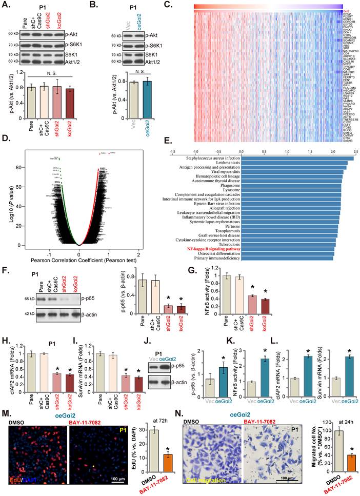 Int J Biol Sci Image