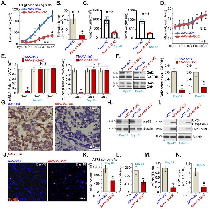 Int J Biol Sci Image