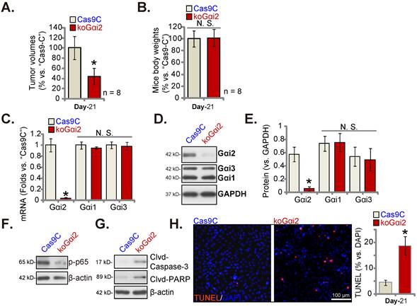 Int J Biol Sci Image