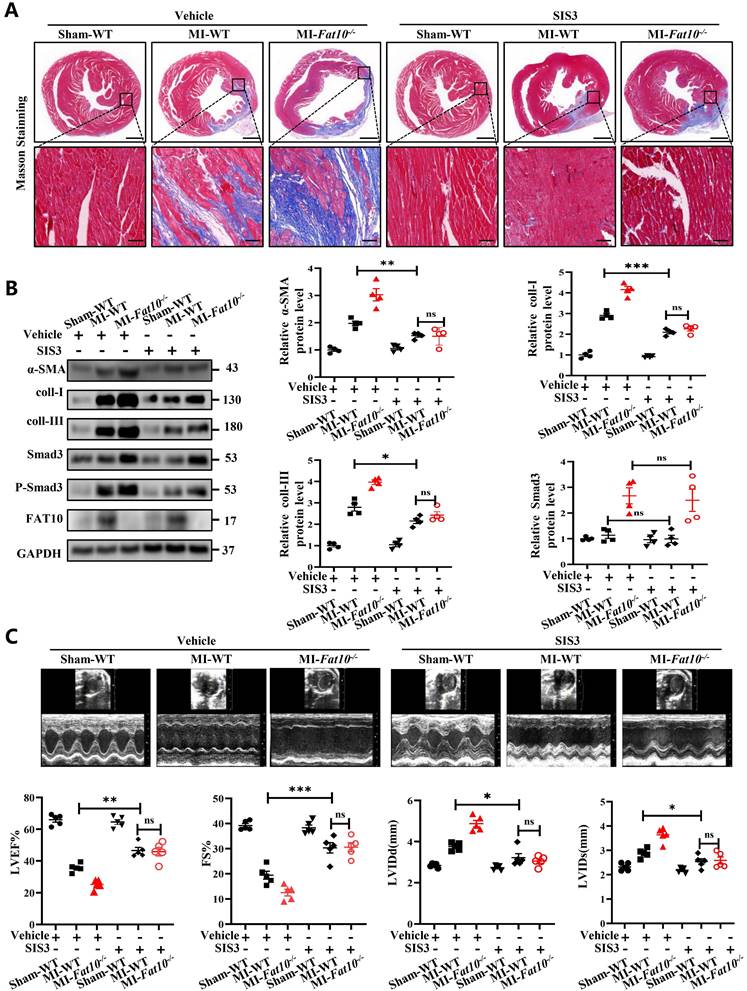 Int J Biol Sci Image