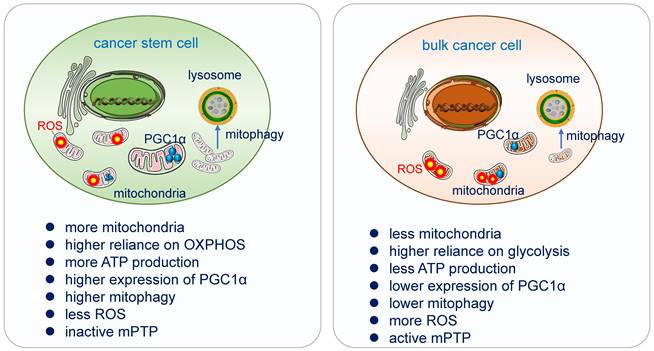 Int J Biol Sci Image