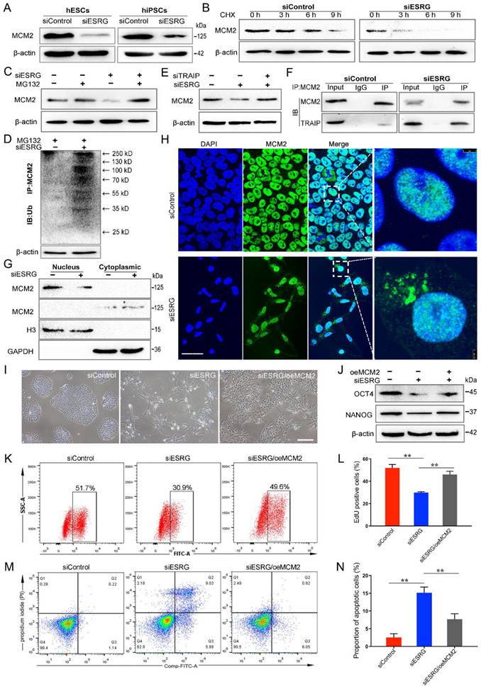 Int J Biol Sci Image