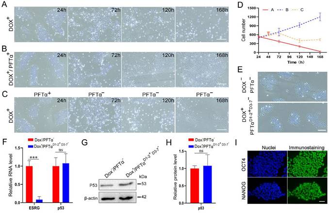 Int J Biol Sci Image