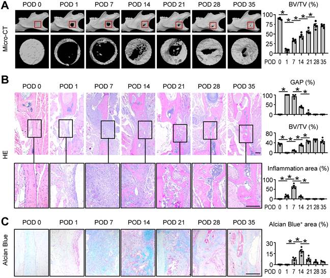 Int J Biol Sci Image