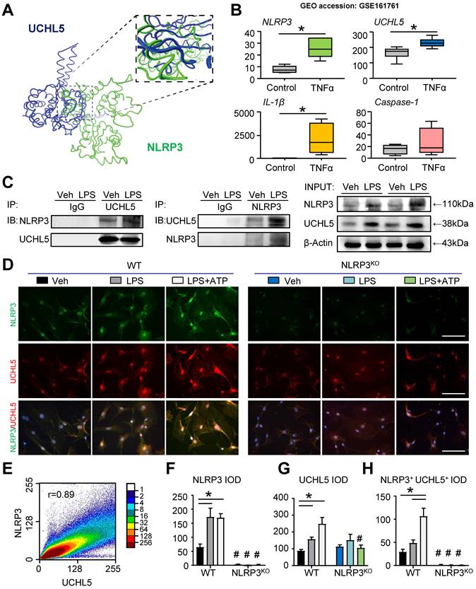 Int J Biol Sci Image