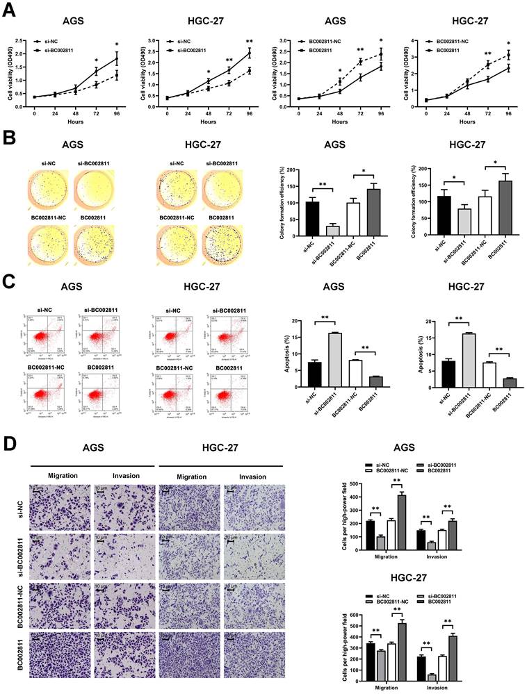 Int J Biol Sci Image