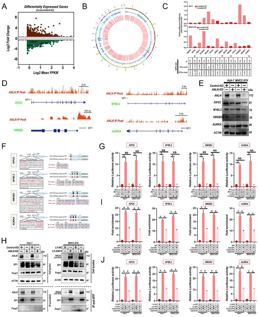 Int J Biol Sci Image