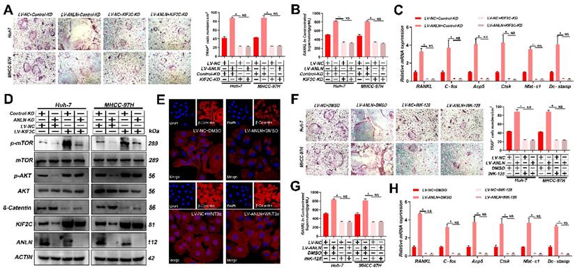 Int J Biol Sci Image