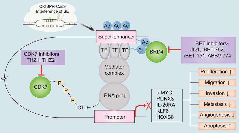 Int J Biol Sci Image