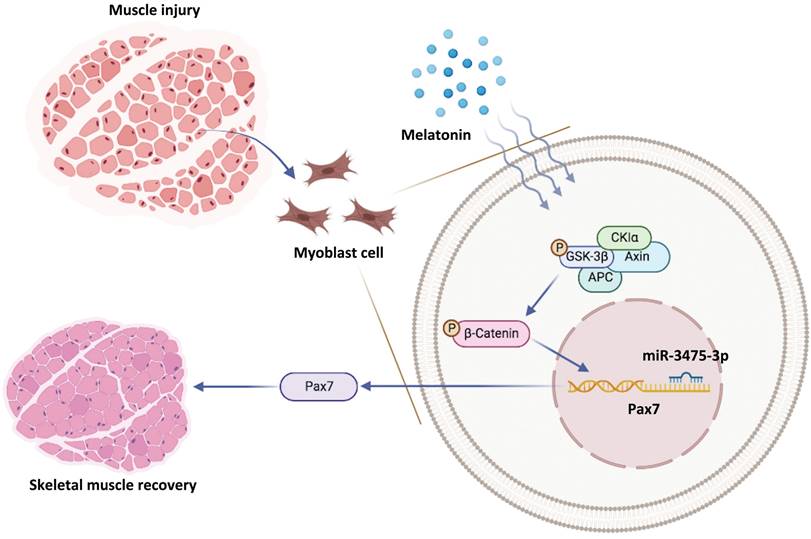 Int J Biol Sci Image