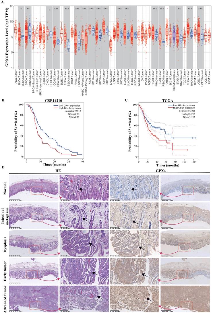 Int J Biol Sci Image