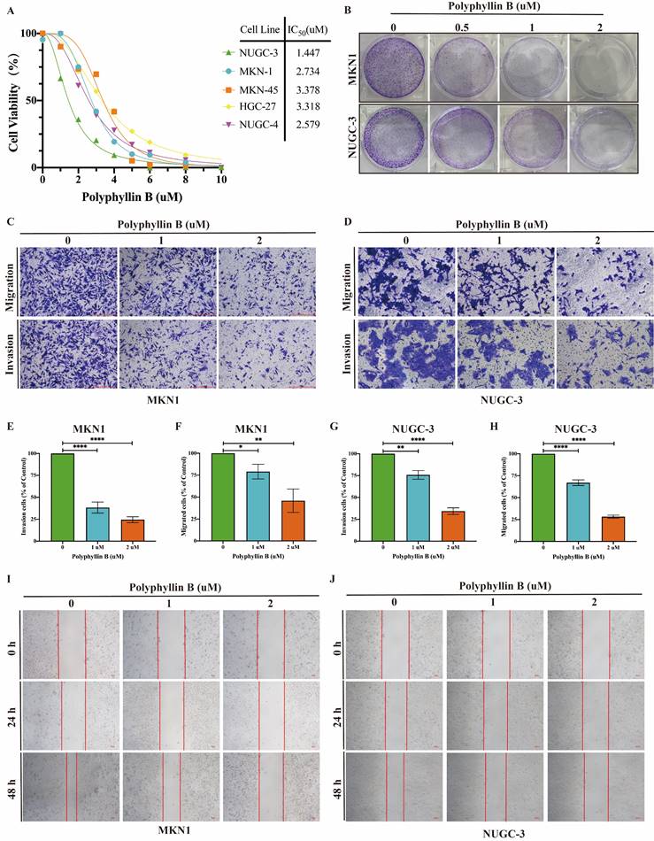 Int J Biol Sci Image