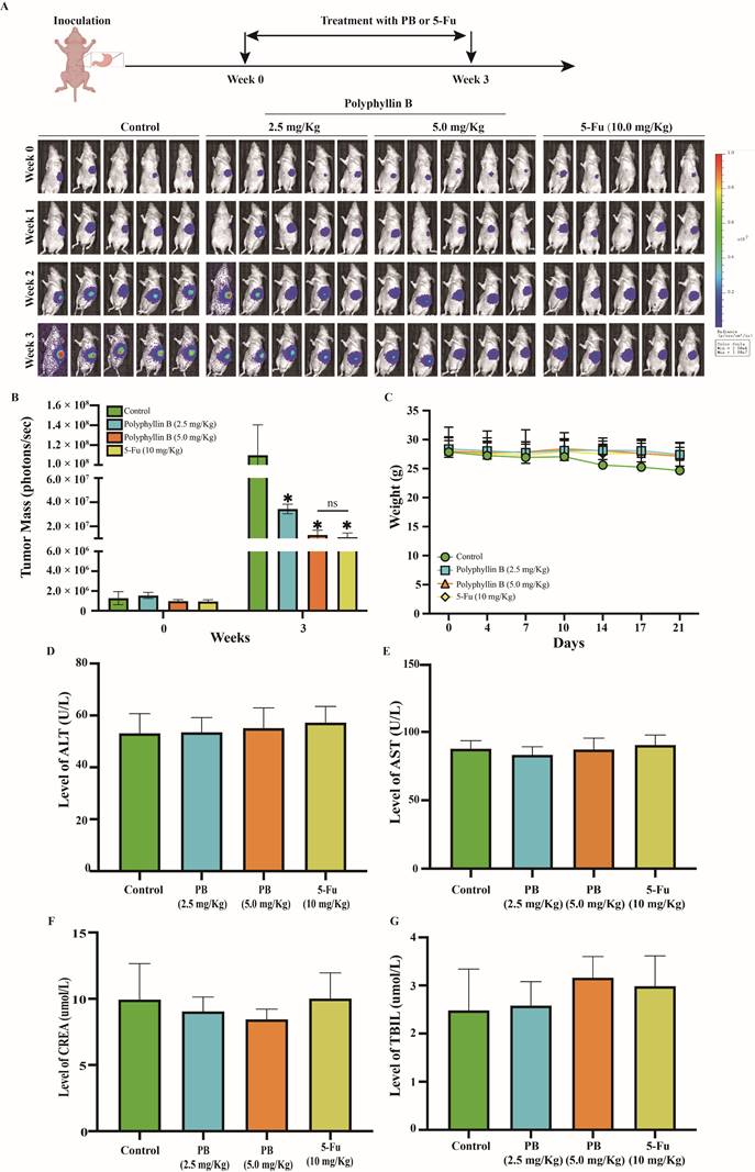 Int J Biol Sci Image