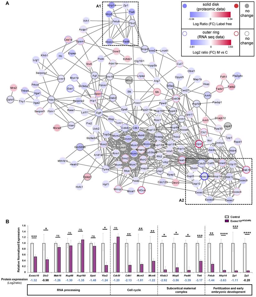 Int J Biol Sci Image