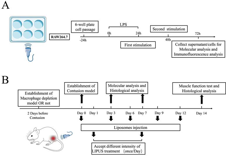 Int J Biol Sci Image