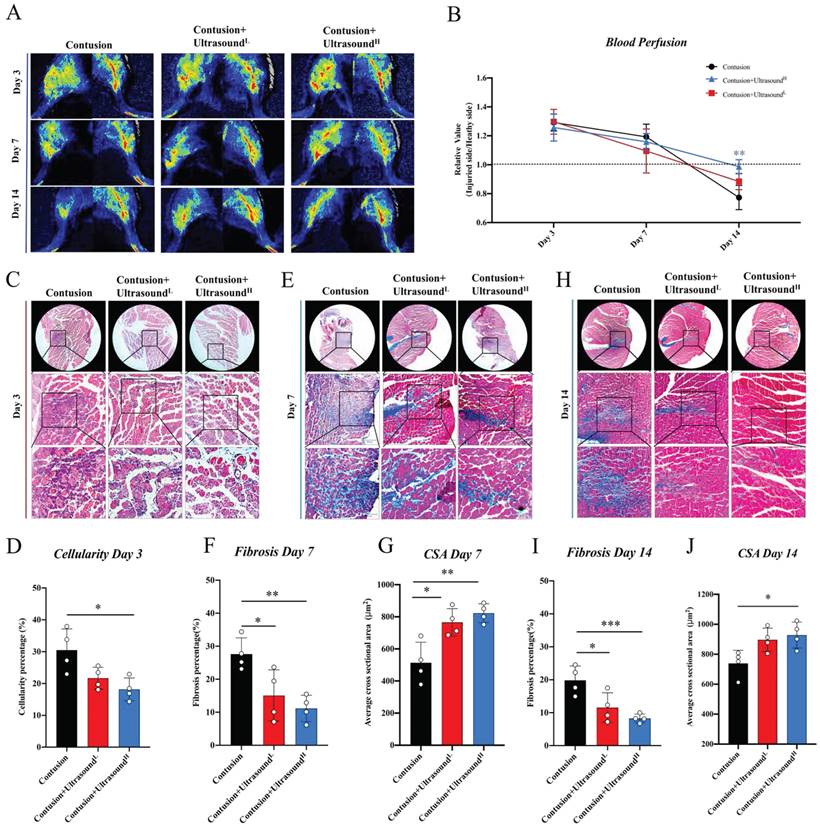 Int J Biol Sci Image