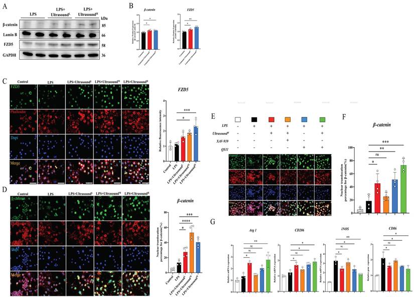 Int J Biol Sci Image