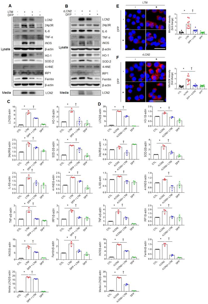 Int J Biol Sci Image