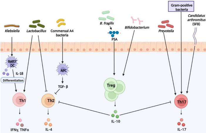 Int J Biol Sci Image