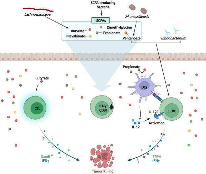 Int J Biol Sci Image