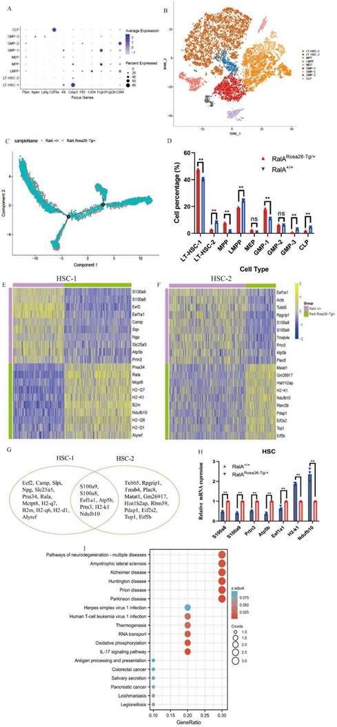 Int J Biol Sci Image