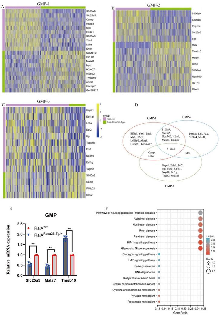 Int J Biol Sci Image