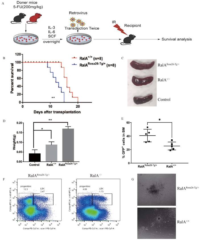 Int J Biol Sci Image